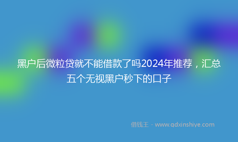 黑户后微粒贷就不能借款了吗2024年推荐，汇总五个无视黑户秒下的口子