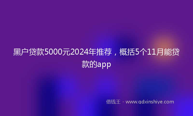 黑户贷款5000元2024年推荐，概括5个11月能贷款的app