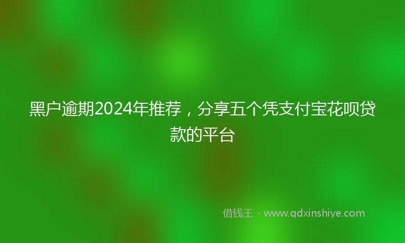 黑户逾期2024年推荐，分享五个凭支付宝花呗贷款的平台