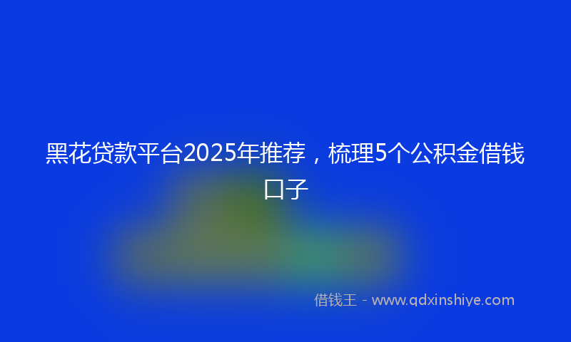 黑花贷款平台2025年推荐，梳理5个公积金借钱口子