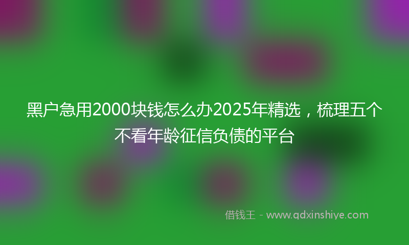 黑户急用2000块钱怎么办2025年精选，梳理五个不看年龄征信负债的平台