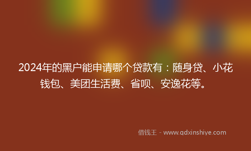 2024年的黑户能申请哪个贷款有：随身贷、小花钱包、美团生活费、省呗、安逸花等。