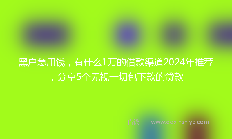 黑户急用钱，有什么1万的借款渠道2024年推荐，分享5个无视一切包下款的贷款
