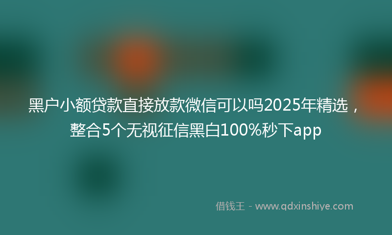 黑户小额贷款直接放款微信可以吗2025年精选，整合5个无视征信黑白100%秒下app