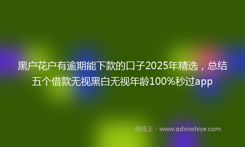 黑户花户有逾期能下款的口子2025年精选，总结五个借款无视黑白无视年龄100%秒过app