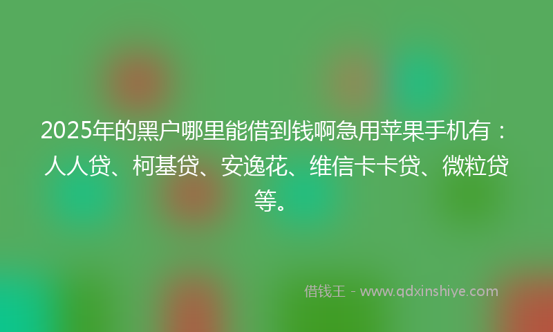 2025年的黑户哪里能借到钱啊急用苹果手机有：人人贷、柯基贷、安逸花、维信卡卡贷、微粒贷等。