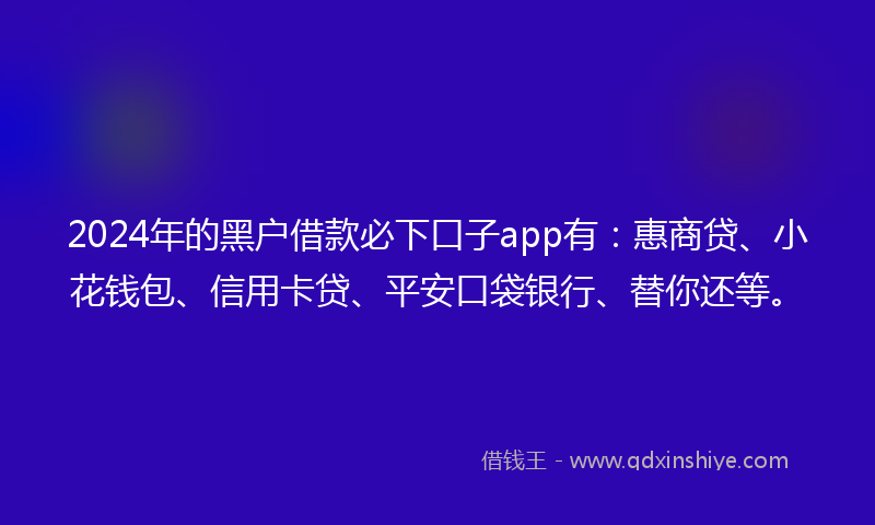 2024年的黑户借款必下口子app有：惠商贷、小花钱包、信用卡贷、平安口袋银行、替你还等。