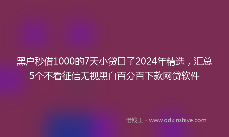 黑户秒借1000的7天小贷口子2024年精选，汇总5个不看征信无视黑白百分百下款网贷软件
