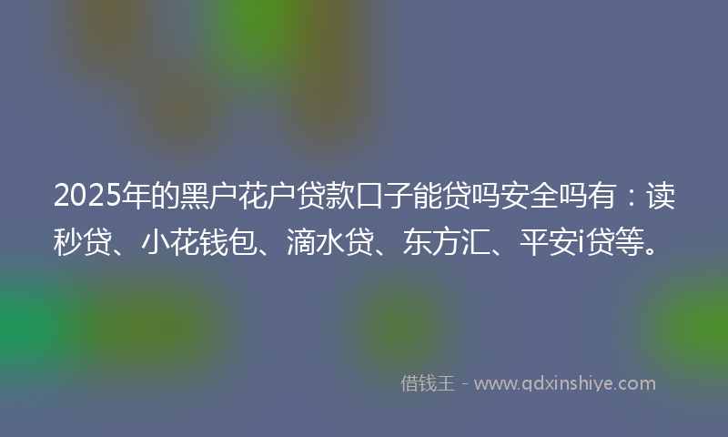 2025年的黑户花户贷款口子能贷吗安全吗有：读秒贷、小花钱包、滴水贷、东方汇、平安i贷等。