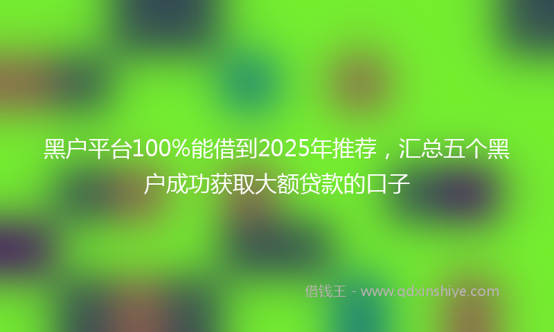 黑户平台100%能借到2025年推荐，汇总五个黑户成功获取大额贷款的口子