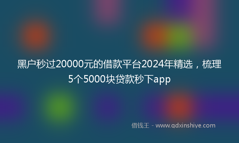 黑户秒过20000元的借款平台2024年精选，梳理5个5000块贷款秒下app