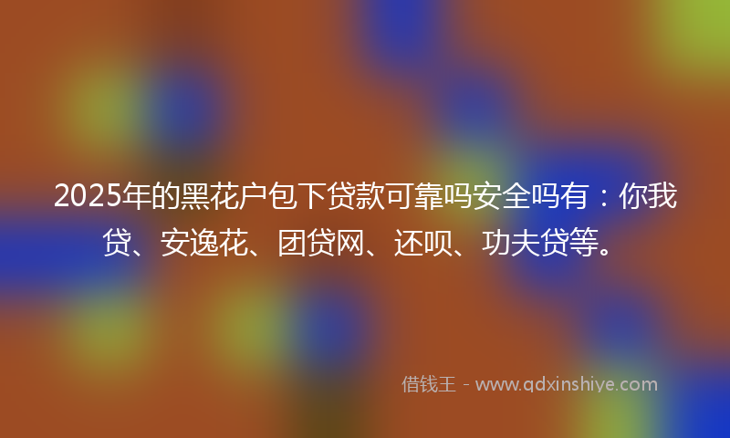2025年的黑花户包下贷款可靠吗安全吗有：你我贷、安逸花、团贷网、还呗、功夫贷等。