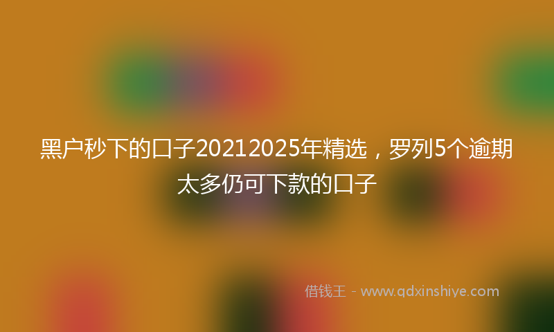 黑户秒下的口子20212025年精选，罗列5个逾期太多仍可下款的口子