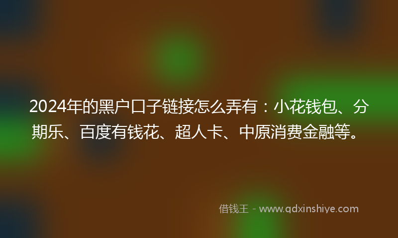2024年的黑户口子链接怎么弄有：小花钱包、分期乐、百度有钱花、超人卡、中原消费金融等。