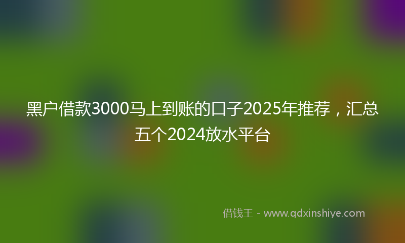 黑户借款3000马上到账的口子2025年推荐，汇总五个2024放水平台
