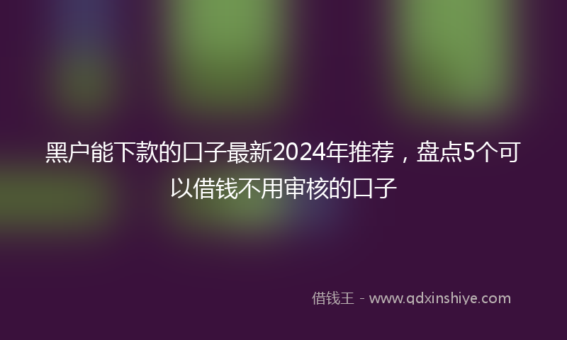 黑户能下款的口子最新2024年推荐，盘点5个可以借钱不用审核的口子