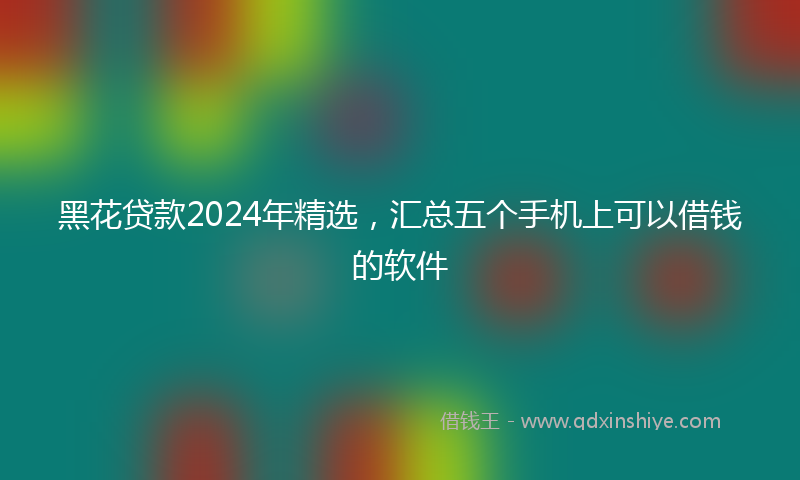 黑花贷款2024年精选，汇总五个手机上可以借钱的软件