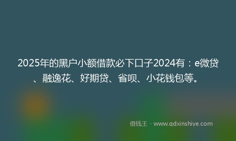 2025年的黑户小额借款必下口子2024有：e微贷、融逸花、好期贷、省呗、小花钱包等。