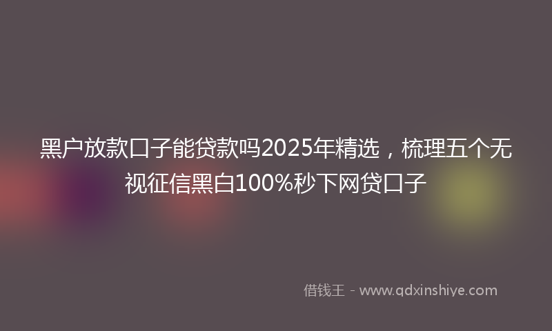 黑户放款口子能贷款吗2025年精选，梳理五个无视征信黑白100%秒下网贷口子