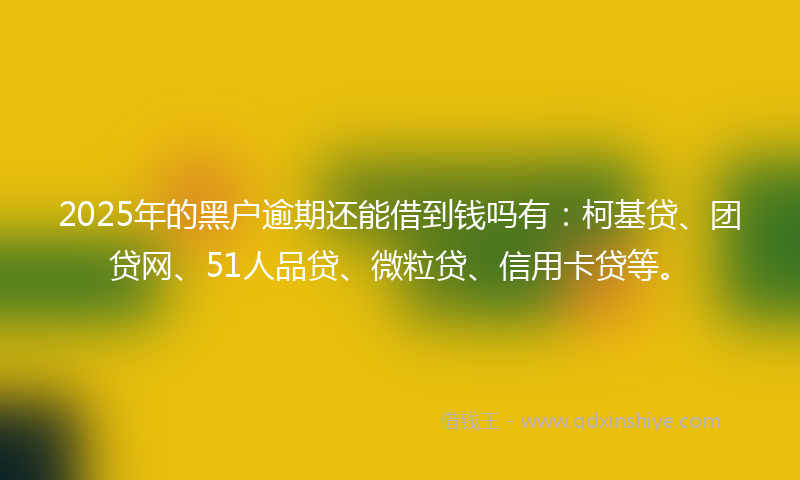 2025年的黑户逾期还能借到钱吗有：柯基贷、团贷网、51人品贷、微粒贷、信用卡贷等。