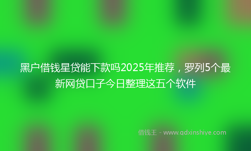 黑户借钱星贷能下款吗2025年推荐，罗列5个最新网贷口子今日整理这五个软件