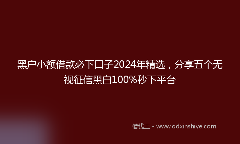 黑户小额借款必下口子2024年精选，分享五个无视征信黑白100%秒下平台