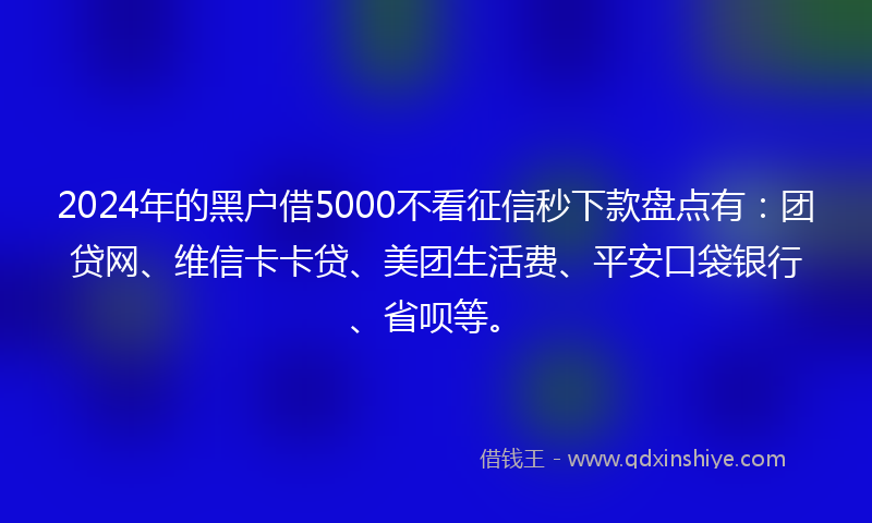 2024年的黑户借5000不看征信秒下款盘点有：团贷网、维信卡卡贷、美团生活费、平安口袋银行、省呗等。