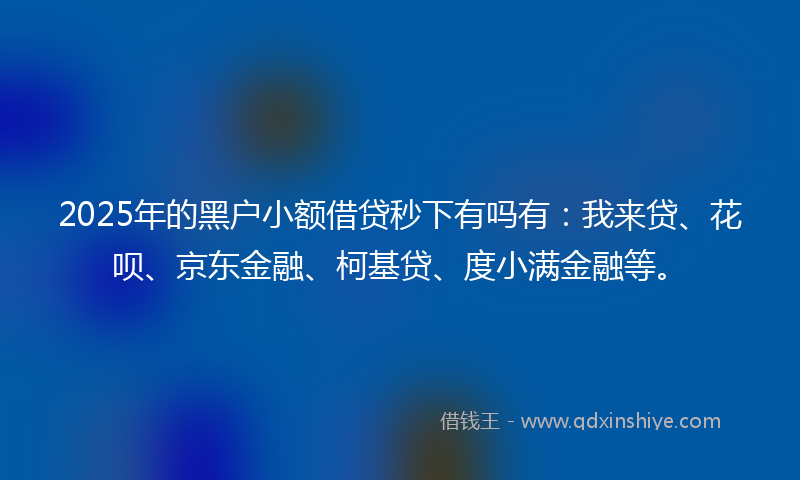 2025年的黑户小额借贷秒下有吗有：我来贷、花呗、京东金融、柯基贷、度小满金融等。