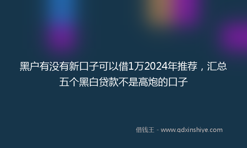 黑户有没有新口子可以借1万2024年推荐，汇总五个黑白贷款不是高炮的口子