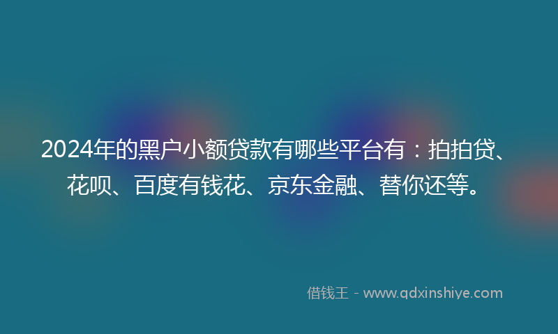 2024年的黑户小额贷款有哪些平台有：拍拍贷、花呗、百度有钱花、京东金融、替你还等。