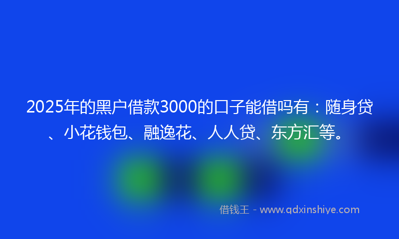 2025年的黑户借款3000的口子能借吗有：随身贷、小花钱包、融逸花、人人贷、东方汇等。