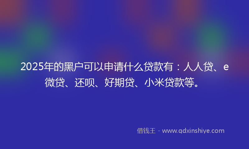 2025年的黑户可以申请什么贷款有：人人贷、e微贷、还呗、好期贷、小米贷款等。