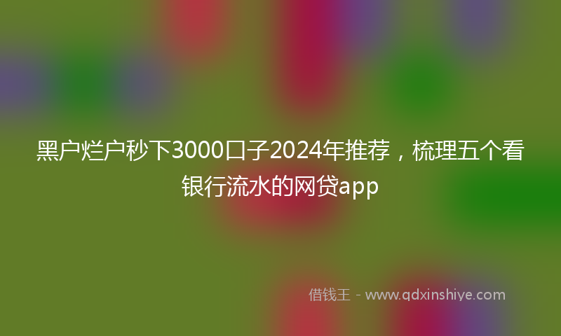 黑户烂户秒下3000口子2024年推荐，梳理五个看银行流水的网贷app