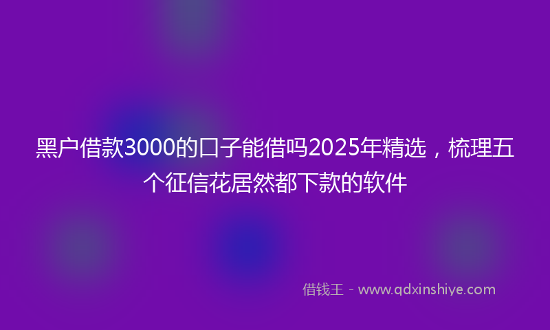 黑户借款3000的口子能借吗2025年精选，梳理五个征信花居然都下款的软件