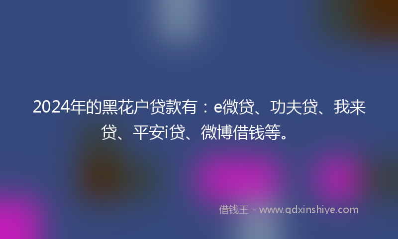 2024年的黑花户贷款有：e微贷、功夫贷、我来贷、平安i贷、微博借钱等。