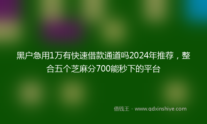 黑户急用1万有快速借款通道吗2024年推荐，整合五个芝麻分700能秒下的平台