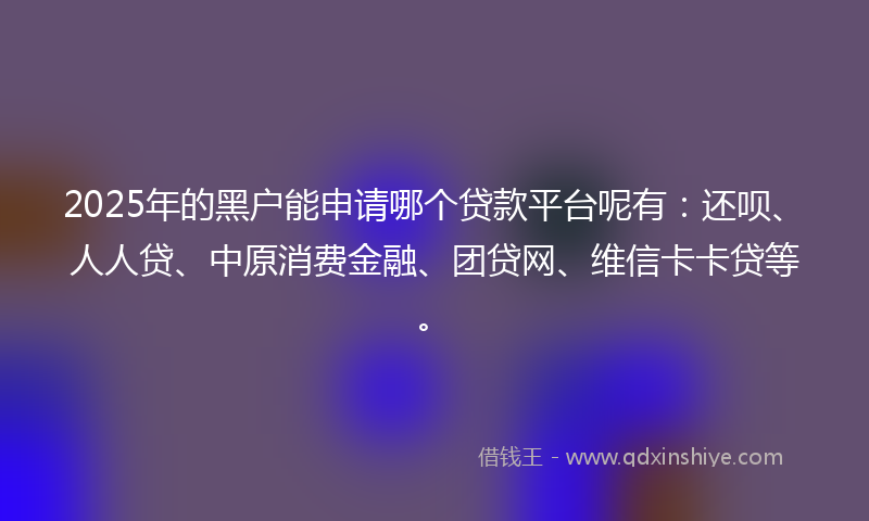 2025年的黑户能申请哪个贷款平台呢有：还呗、人人贷、中原消费金融、团贷网、维信卡卡贷等。