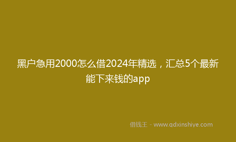 黑户急用2000怎么借2024年精选，汇总5个最新能下来钱的app