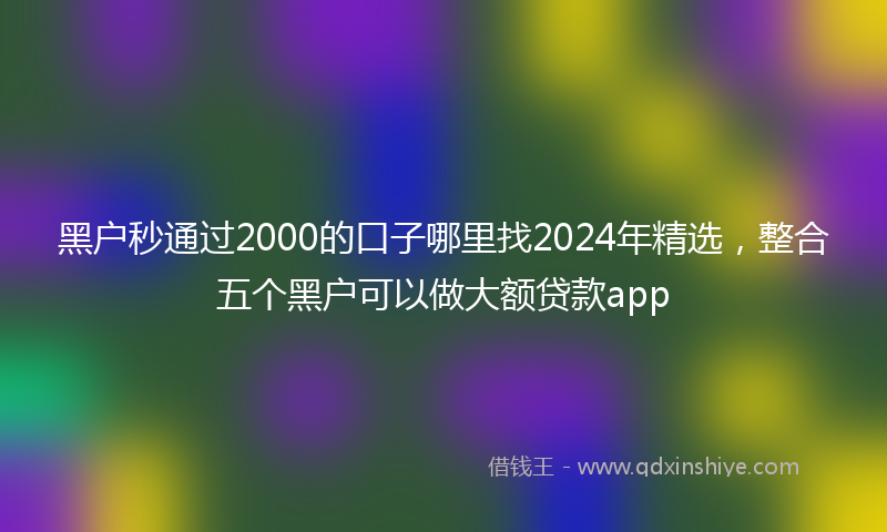 黑户秒通过2000的口子哪里找2024年精选，整合五个黑户可以做大额贷款app