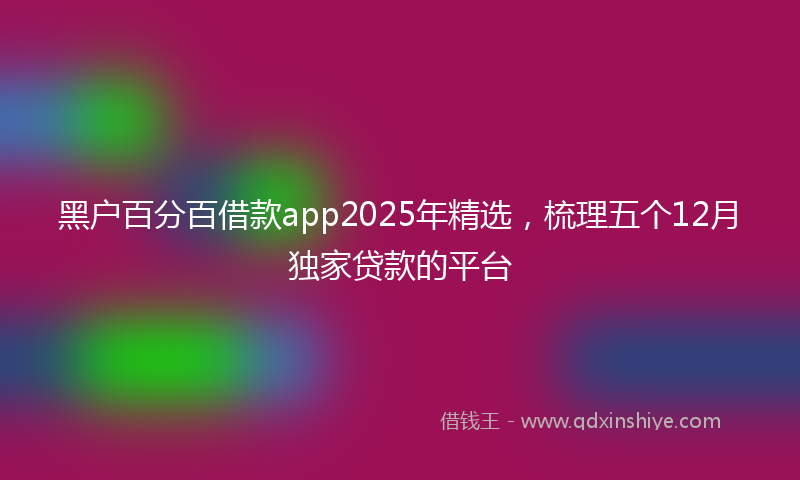 黑户百分百借款app2025年精选，梳理五个12月独家贷款的平台