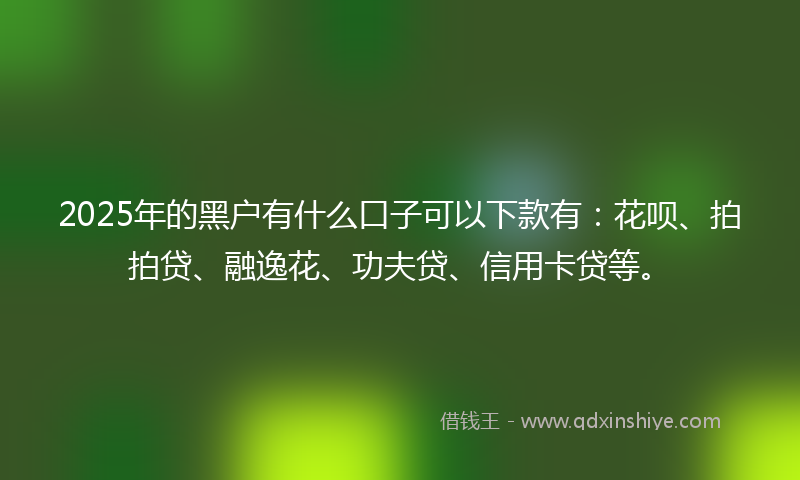 2025年的黑户有什么口子可以下款有：花呗、拍拍贷、融逸花、功夫贷、信用卡贷等。
