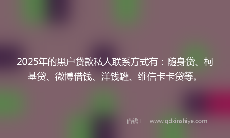 2025年的黑户贷款私人联系方式有：随身贷、柯基贷、微博借钱、洋钱罐、维信卡卡贷等。