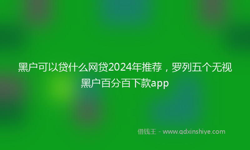 黑户可以贷什么网贷2024年推荐，罗列五个无视黑户百分百下款app