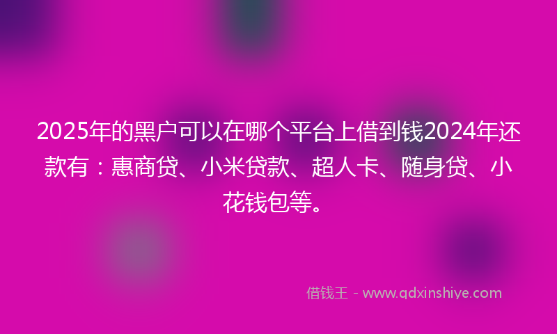 2025年的黑户可以在哪个平台上借到钱2024年还款有：惠商贷、小米贷款、超人卡、随身贷、小花钱包等。