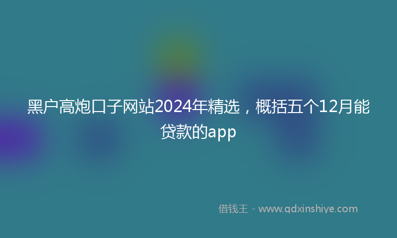 黑户高炮口子网站2024年精选，概括五个12月能贷款的app
