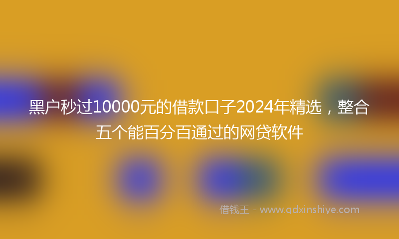 黑户秒过10000元的借款口子2024年精选，整合五个能百分百通过的网贷软件