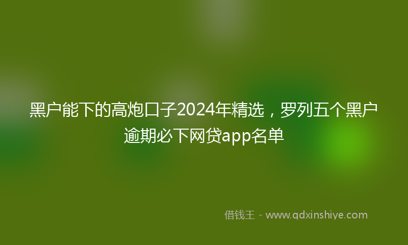 黑户能下的高炮口子2024年精选，罗列五个黑户逾期必下网贷app名单