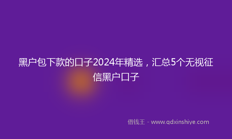黑户包下款的口子2024年精选，汇总5个无视征信黑户口子