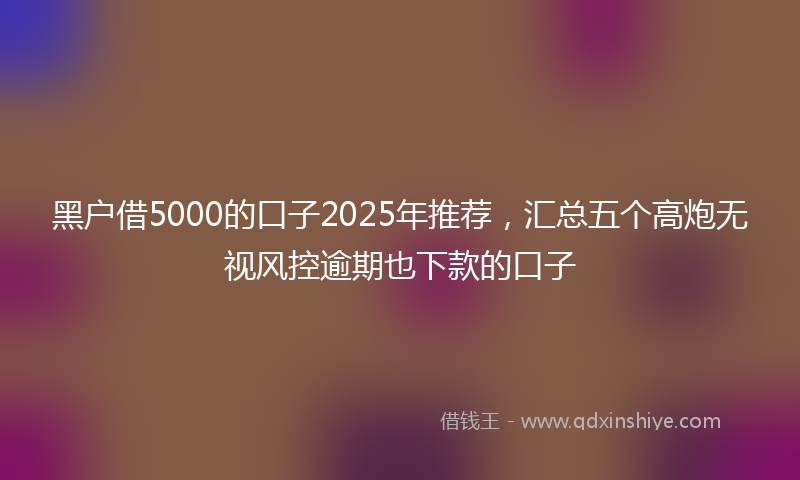 黑户借5000的口子2025年推荐，汇总五个高炮无视风控逾期也下款的口子