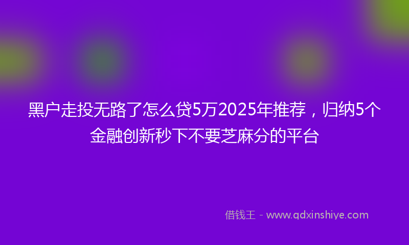 黑户走投无路了怎么贷5万2025年推荐，归纳5个金融创新秒下不要芝麻分的平台